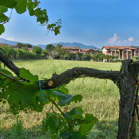La Terrazza Sulle Vigne