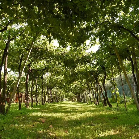 La Terrazza Sulle Vigne * Corte Franca